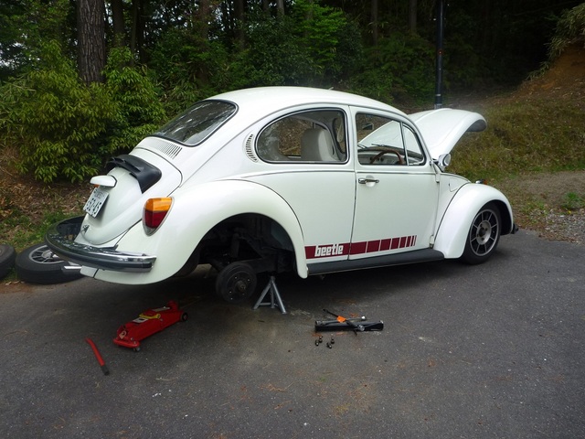 P1050579.JPG